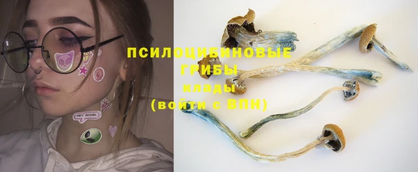 кристаллы Бородино