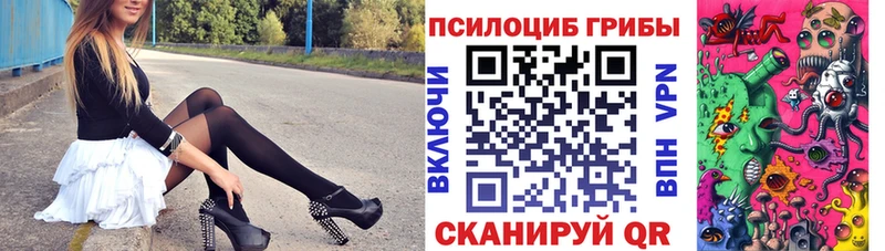блэк спрут сайт  где найти   Белгород  Галлюциногенные грибы Psilocybine cubensis 